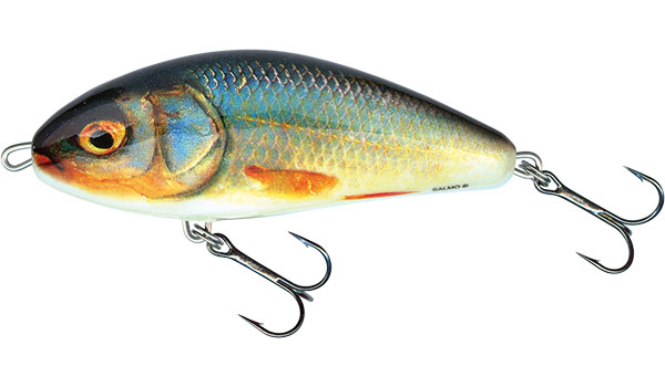 SALMO FATSO 10cm Real Roach