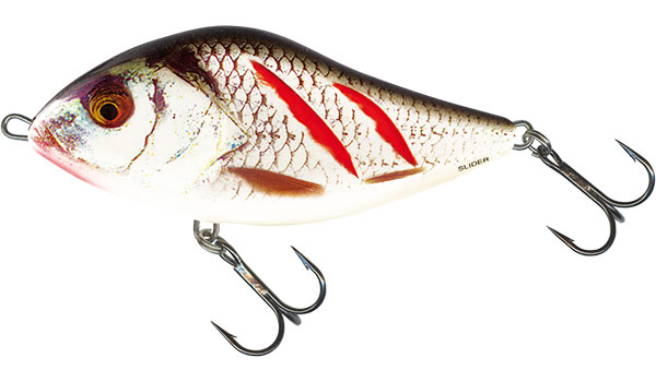 Salmo Slider 10cm Wounded Real Grey Shiner - Sinking