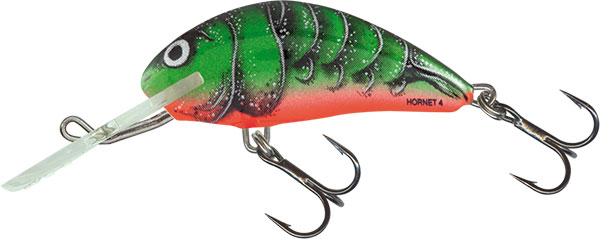 Salmo Hornet Floating 4 Real Dace H4F-RD 1 3//4/" 1//16 oz Lure