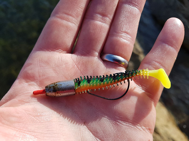 MY FAVOURITE WRASSE LURES AND HOW I FISH THEM - CRAWS & BEAVER BAITS