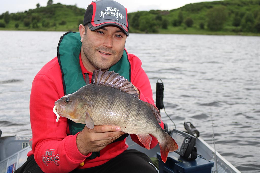 Dropshot Micro Deadbaits For Canal Perch. Big Fish Landed 