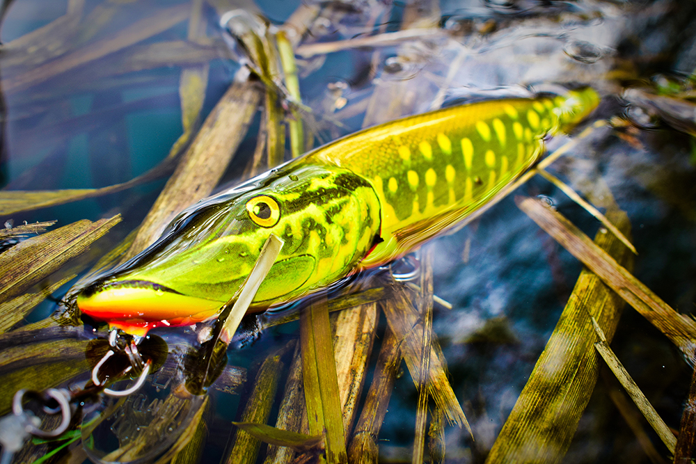 Appât de pêche à manivelle en bois vintage Creek Chub bébé pikie