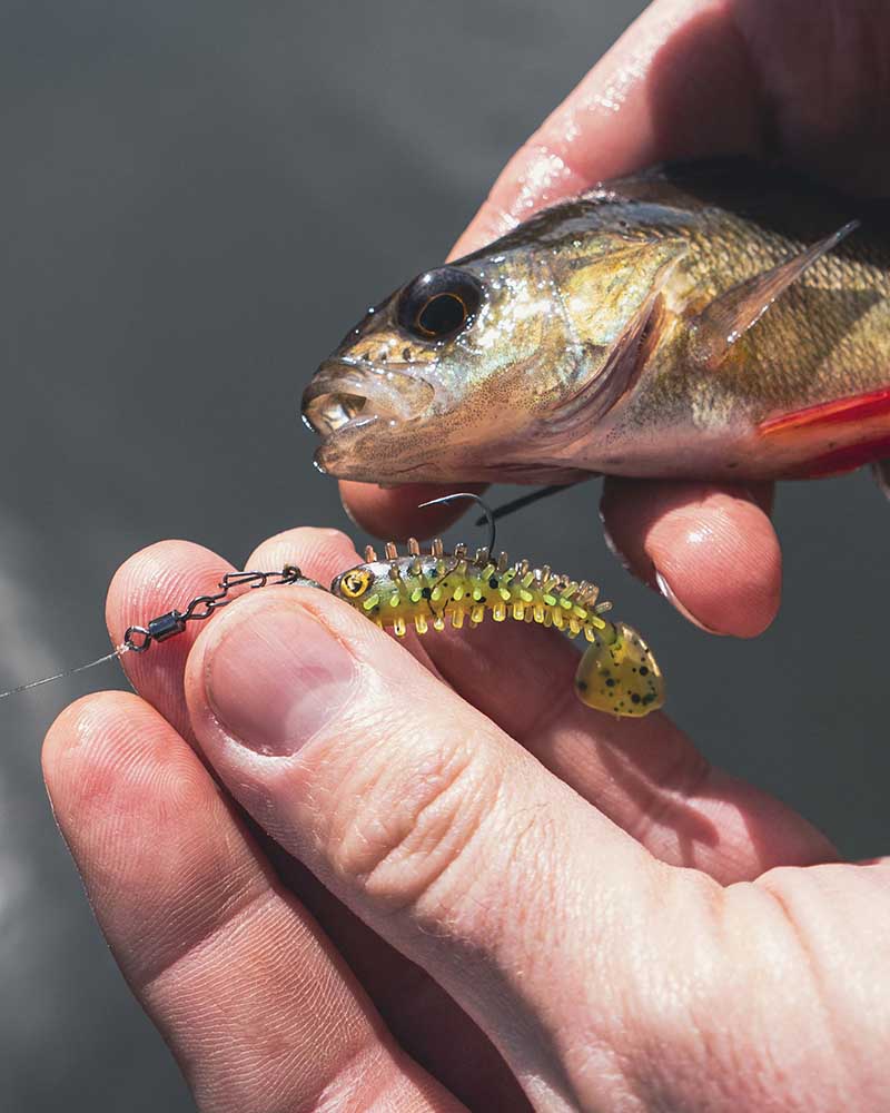 Urban Escape: Lure Fishing the Canal Network new