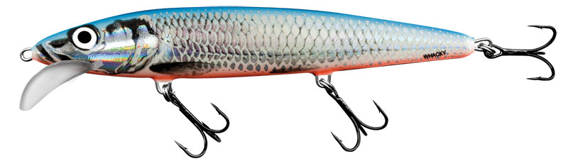Salmo Whacky Limited Edition Models SILVER BLUE