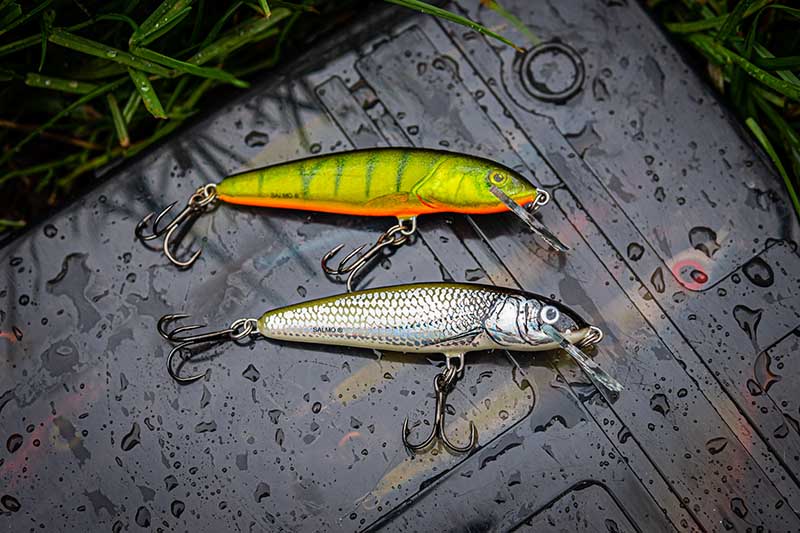 Perch Fishing Tips - The Only 5 Perch Baits That Matter 