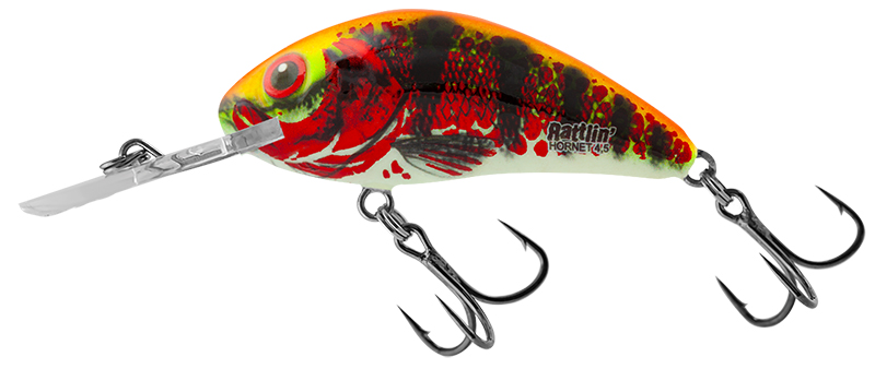 SALMO RATTLIN' HORNET 6.5cm Holo Red Perch