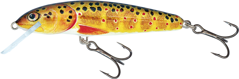 Salmo Minnow 6cm Trout - Floating