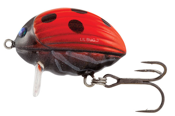 Lil Bug 2 Floating Ladybird