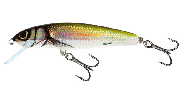 2 3/4" 1/2 oz Salmon Trout Lure Holographic Bleak Salmo Wave 7 Sinking 