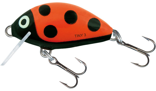 Tiny 3 Floating Ladybird