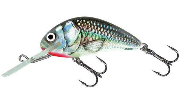 Salmo Hornet Floating 4 Real Dace H4F-RD 1 3//4/" 1//16 oz Lure