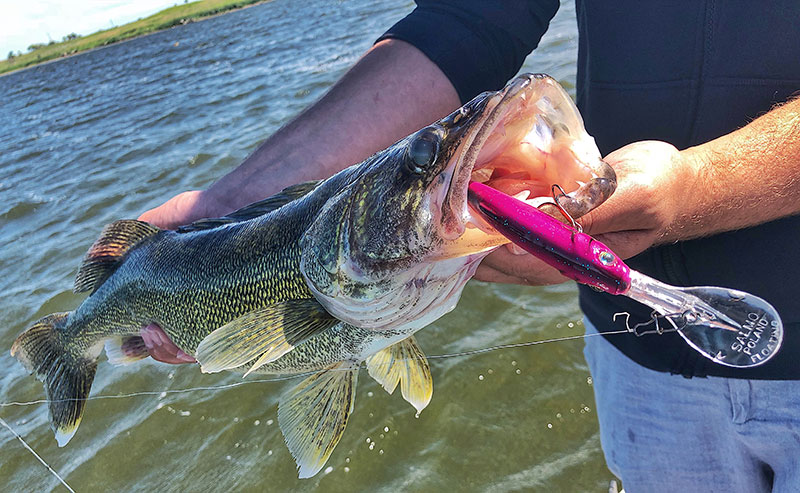 Fishing Tips: Trolling Crankbaits for Walleyes