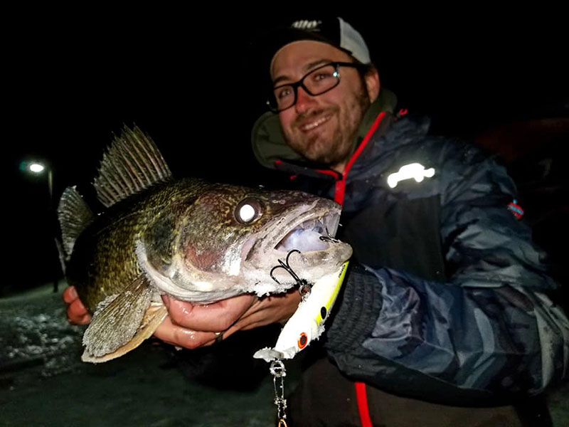 Jigging for walleye…To Sting or not to Sting