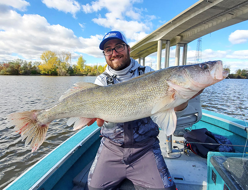 Jigging for walleye…To Sting or not to Sting